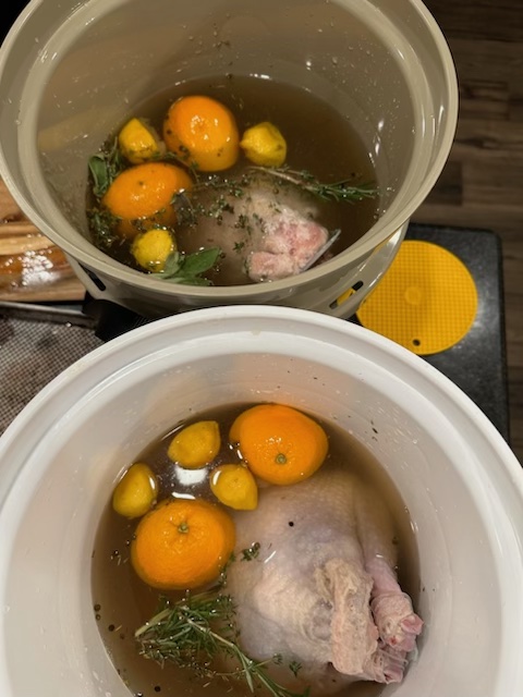 Two buckets with citrus and turkeys in a brine mix.