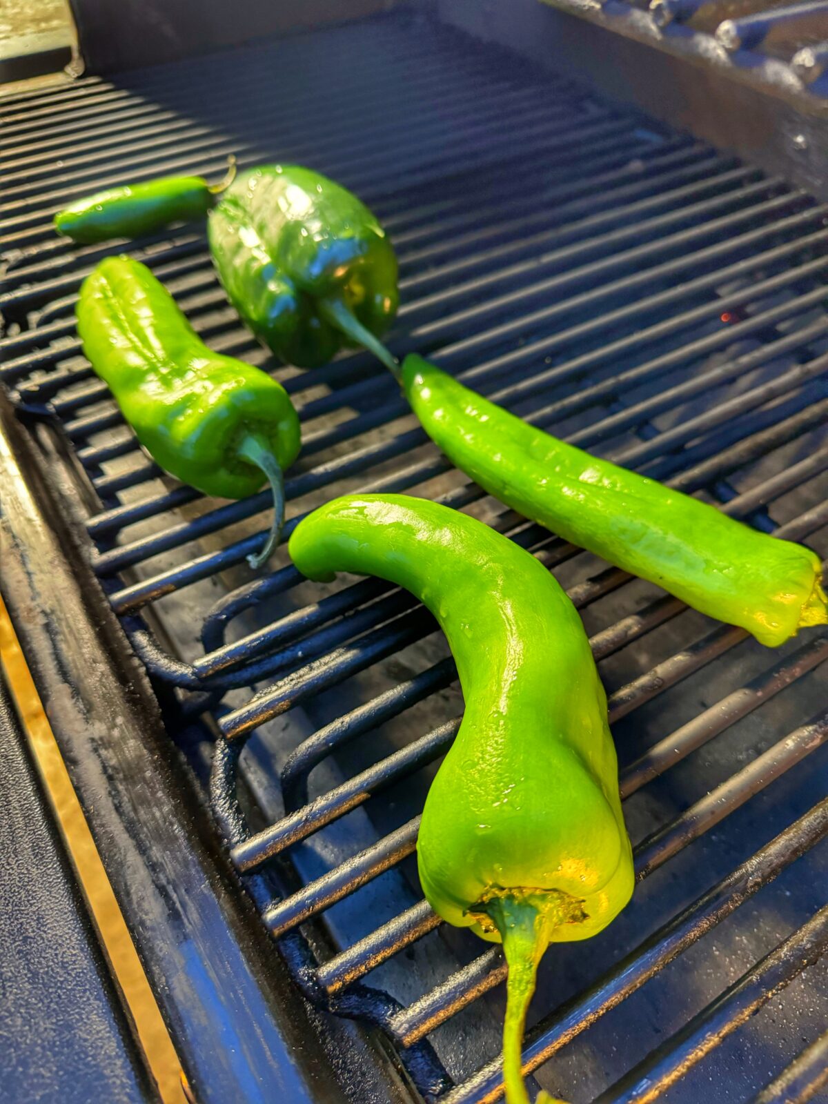 Bright green chiles roast on the Traeger grill.
