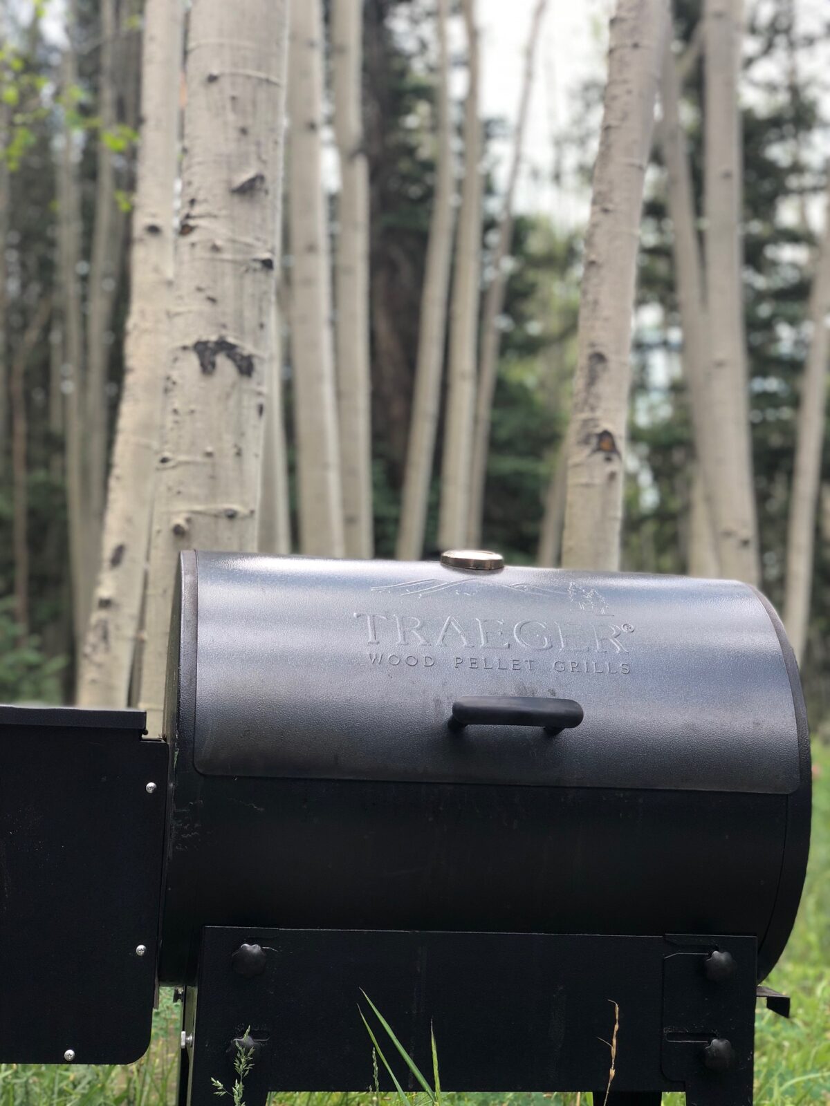 The Traeger Tailgater grill in a grove of Aspens near Telluride, CO.