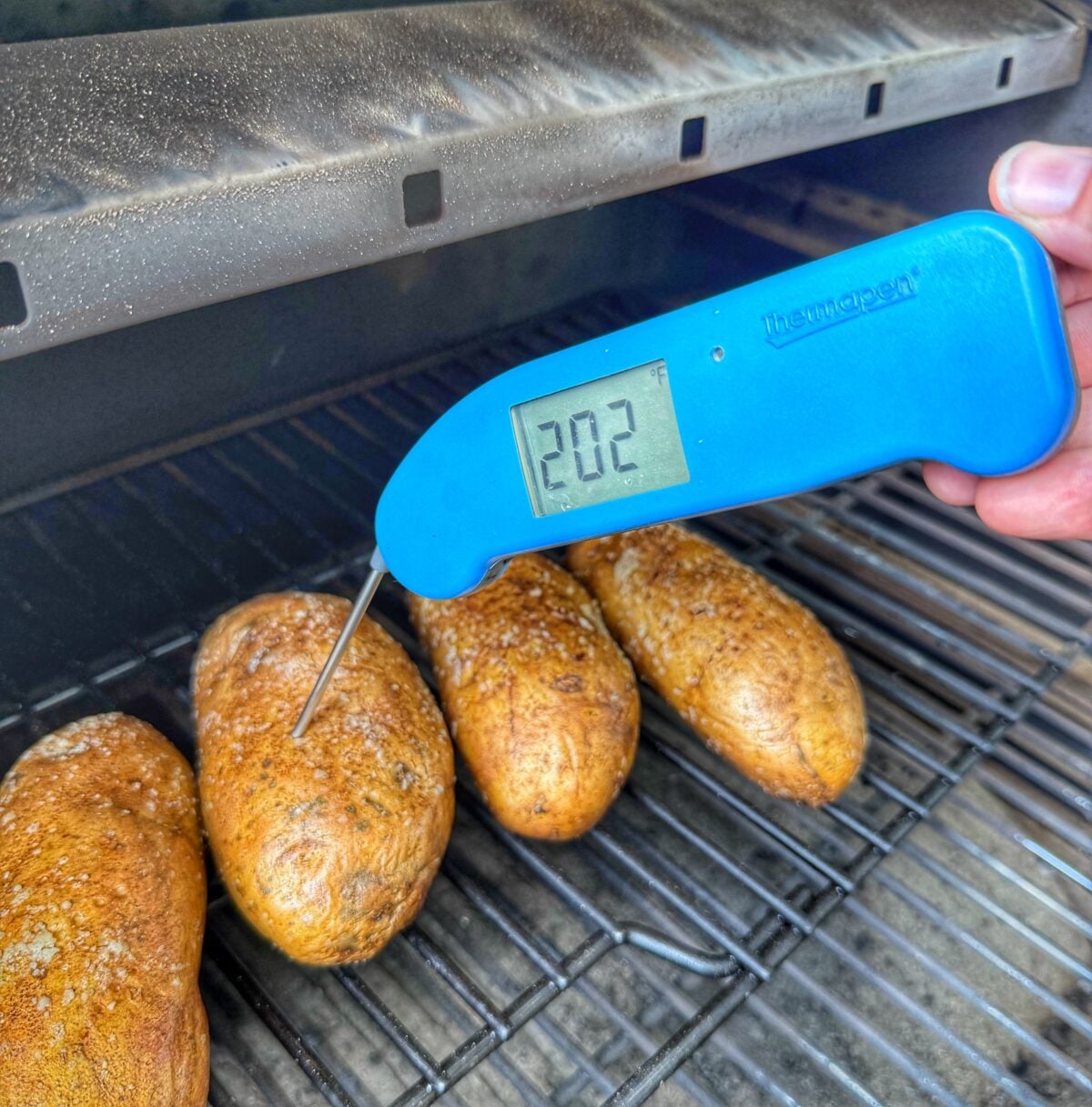 Thermapen thermometer reading 202 degrees inserted into a baked potato on the Pit Boss Navigator grill.